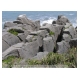 064_Pancake Rocks.jpg